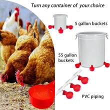 12 cái Đồng hồ tự động Gà Nước Núm vú Cúp , Nổi Gia cầm Máy Tưới nước , Dễ dàng để cài đặt , Thích hợp Đối với , Vịt , Và - Đỏ - Xem 7