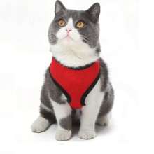 1入組寵物胸背帶戶外散步套裝，適合貓狗巡邏 - 紅色 - 查看 1