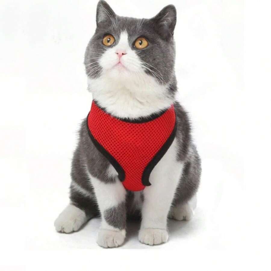 1入組寵物胸背帶戶外散步套裝，適合貓狗巡邏 - 紅色 - 查看 1