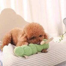 1 Miếng Dễ thương Sâu bướm Hình dạng Đồ chơi Plush Đối với Nhỏ bé Và Kích thước trung bình Chó Và Mèo , Phiền muộn Tương Tác Chơi Và Làm sạch răng - màu xanh lá - Xem 4