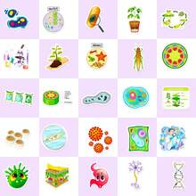 50pcs Science Stickers, Chemistry Biology Laboratory Waterproof  Stickers For Laptop Luggage Books, Science Stickers for Students - Multicolor - View 3