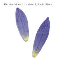 5入組/約60入裝天然乾花,包括野菊花、藍色花朵、籽莢、睡蓮和辣椒,每款一包；可選用製作指甲藝術、創意diy書籤、相框、香氛蠟燭、手機殼、鏡面裝飾等；創意diy家居裝飾、派對創意小禮物、生日禮物、新年禮物、聖誕派對小禮物；純天然植物鮮花,每批次尺寸與顏色可能略有不同。 - 彩色 - 查看 2