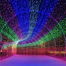 Pisca Pisca 10Metros 100Leds Luz Coloridos 110V 220V Para Iluminação De Natal E Decoração De Festa - Verde - Visão 2