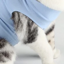 1pc Breathable Cat Spay Neuter Surgery Recovery Suit Kitten Weaning Clothes - Blue - View 5