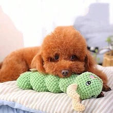 1 Miếng Dễ thương Sâu bướm Hình dạng Đồ chơi Plush Đối với Nhỏ bé Và Kích thước trung bình Chó Và Mèo , Phiền muộn Tương Tác Chơi Và Làm sạch răng - màu xanh lá - Xem 1