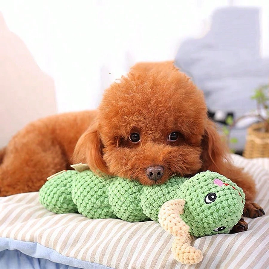 1 Miếng Dễ thương Sâu bướm Hình dạng Đồ chơi Plush Đối với Nhỏ bé Và Kích thước trung bình Chó Và Mèo , Phiền muộn Tương Tác Chơi Và Làm sạch răng - màu xanh lá - Xem 1