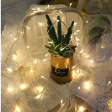 Pisca Pisca 10Metros 100Leds Luz Coloridos 110V 220V Para Iluminação De Natal E Decoração De Festa - Branco quente - Visão 2