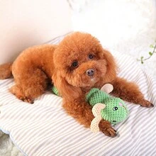 1 Miếng Dễ thương Sâu bướm Hình dạng Đồ chơi Plush Đối với Nhỏ bé Và Kích thước trung bình Chó Và Mèo , Phiền muộn Tương Tác Chơi Và Làm sạch răng - màu xanh lá - Xem 2