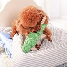 1 Miếng Dễ thương Sâu bướm Hình dạng Đồ chơi Plush Đối với Nhỏ bé Và Kích thước trung bình Chó Và Mèo , Phiền muộn Tương Tác Chơi Và Làm sạch răng - màu xanh lá - Xem 5
