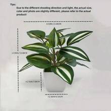 1 套 4 株白色盆栽小型人造植物，包括盆栽、塑料迷你人造植物，适合室内使用、办公桌、浴室、卧室绿色装饰、书桌装饰、情人节、礼物 - 綠色 - 查看 7