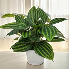 1 套 4 株白色盆栽小型人造植物，包括盆栽、塑料迷你人造植物，适合室内使用、办公桌、浴室、卧室绿色装饰、书桌装饰、情人节、礼物 - 綠色 - 查看 3