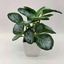 1 套 4 株白色盆栽小型人造植物，包括盆栽、塑料迷你人造植物，适合室内使用、办公桌、浴室、卧室绿色装饰、书桌装饰、情人节、礼物 - 綠色 - 查看 5