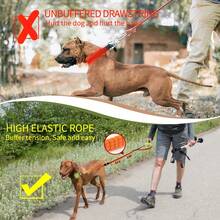 1pc Dog Car Safety Belt With Elastic Buffer Reflective Leash For Car Ride Pet Walking - Red - View 7