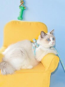 1 Miếng Mùa Đông Thú cưng Ngực & Trở lại Dây đeo Harness Với Dây xích , Thích hợp Đối với Trong nhà & Ngoài trời Sử dụng Đối với Nhỏ bé Và Kích thước trung bình 360 độ Dây Quấn , Cổ áo cao Thiết kế Phù hợp , Và Bao gồm tất cả Thiết kế Rộng lớn Căng thẳng Khu vực Đến Ngăn chặn Dây xích Mềm mại Đến Chạm Và Không Lông thỏ - Nhiều màu - Xem 5