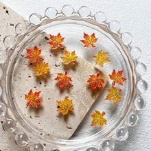 20入組/套2色調秋季楓葉圖案美甲裝飾,感恩節樹脂美甲飾品,夜光美甲裝飾,適用於女性diy指甲或手機殼