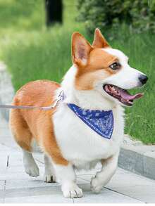 1 Miếng Da giả Chó Khăn rằn Dễ thương Có thể điều chỉnh Thú cưng Khăn quàng cổ Đối với Chó to Và Mèo , Và Gió Phong cách - Màu xanh lam - Xem 8