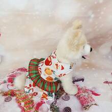 聖誕節紅綠色格紋寵物裙,帶蕾絲修飾