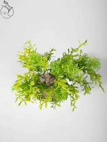 Artificial Plants - màu xanh lá - Xem 8