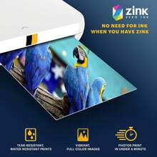 Kodak Premium 2" X 3" Sticky-Backed Zink Photo Paper (20 Sheets), Compatible With Smile And Step Instant Cameras And Instant Printers! - 白色 - 查看 8