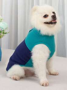 1件小貓小狗用圓領拼接套頭毛衣,適用於室內外,秋冬季寵物保暖衣服 - 綠色 - 查看 4