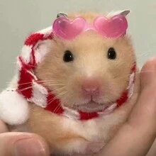 仓鼠迷你太阳眼镜,仓鼠食具椅,熊装蜜袋,豪猪花枝,鸭子迷你眼镜,随机颜色-4入组,其他-2入组