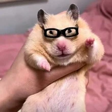 仓鼠迷你太阳眼镜,仓鼠食具椅,熊装蜜袋,豪猪花枝,鸭子迷你眼镜,随机颜色-4入组,其他-2入组