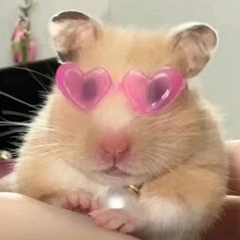 仓鼠迷你太阳眼镜,仓鼠食具椅,熊装蜜袋,豪猪花枝,鸭子迷你眼镜,随机颜色-4入组,其他-2入组