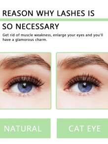 Sanishi Lashes 144 件 D 卷 9-16 毫米睫毛夹套装，含涂抹器、胶水和密封剂 - 纤长宽柄睫毛夹睫毛簇套装、睫毛、假睫毛 - 黑色 - 查看 6