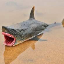 1pc Realistic Giant Shark Toy Ocean Animal Shark Model Toy Party Favor Birthday Gift - 26*12*9cm - great white shark - View 4