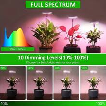 適用於室內植物的植物生長燈,帶金屬支架的全光譜 Led 植物燈,帶自動定時器的植物生長燈桌面生長燈,10 種調光級別,適合室內生長的小型紫外線燈 - 紅藍光譜 - 查看 4