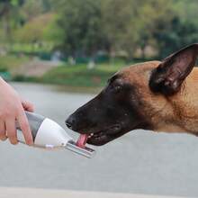 Portable Outdoor Pet Water Bottle - White - View 4