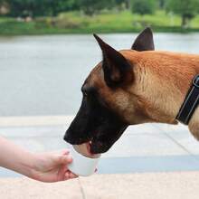 Portable Outdoor Pet Water Bottle - White - View 5