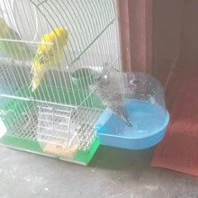 鳥浴盆碗，適用於鸚鵡，掛在鳥籠中的浴室配件，寵物用品-隨機顏色 - 彩色 - 查看 2