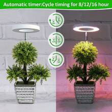 適用於室內植物的植物生長燈,帶金屬支架的全光譜 Led 植物燈,帶自動定時器的植物生長燈桌面生長燈,10 種調光級別,適合室內生長的小型紫外線燈 - 紅藍光譜 - 查看 3