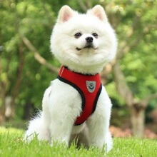 1 Miếng Dụng cụ mèo Áo vest Đi dạo Chì Dây xích Đối với Cún con Chó Vòng cổ Polyester Có thể điều chỉnh Lưới Dây nịt chó Đối với Trung bình nhỏ Cái vòng Pet & Dây xích Bộ - Đỏ - Xem 4
