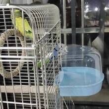 鳥浴盆碗，適用於鸚鵡，掛在鳥籠中的浴室配件，寵物用品-隨機顏色 - 彩色 - 查看 3