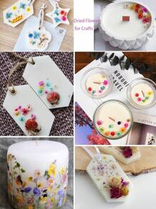 1 bolsa de pequeñas flores secas y coloridas elegantes para hacer jabón, joyería de resina y velas caseras DIY