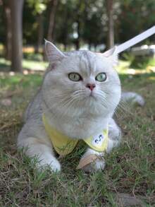 Thickened Pet Carrier With Traction Rope Set, Puppy Cloud Embroidery Backpack With Leash For Autumn And Winter - Yellow - View 2