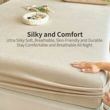 1 件装牛奶丝绒床笠，纯色床笠，卧室床笠，现代布艺卧室床笠，秋冬季床笠 - 米色 - 查看 9