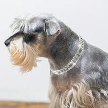 時尚鋅合金寵物項鍊 - 狗和貓項圈,全鑲水鑽,配大金鍊 - 銀色 - 查看 10