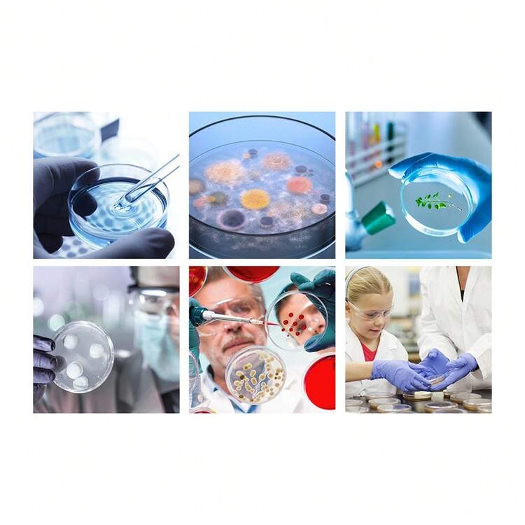 20 Pcs 90mm Plastic Petri Dish with Lid Sterile Bacterial Culture Dish Laboratory Plant Cell Tissue Culture Petri Dish Educational Petri Plates Lab Accessories Premium Cell Tissue Culture Dish - Clear - View 4