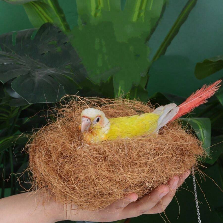 1入組300克鳥巢椰子纖維絲木屑垃圾桶溫暖的筑巢材料,用於鸚鵡和鴿子手工diy - 彩色 - 查看 1