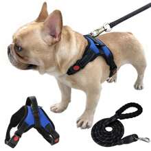 Arnés para Perros con Cinturón de Seguridad para Perros, Arnés Reflectante para Mascotas, Ajustable Chaleco para Perros Arnés de Entrenamiento para Perro, Correa de Pecho para Perro Apto para Perros y Gatos Grande Mediano Pequeño - Azul - Ver 1