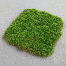1片30x30cm人造絨毛草坪,模擬綠色假植物,適用於花園微型景觀裝飾diy材料(請注意,草地不適合長期践踏,不能浸泡在水中使用) - 綠色 - 查看 1