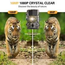 16mp 1080p Outdoor Wildlife Hunting Trail Camera With Infrared Night Vision And Motion Detection Waterproof