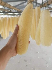 3pcs Tự nhiên Quả bóng tắm , Lớn Tẩy da chết Bồn tắm Quả bóng tắm , Cơ thể Đối với Làm đẹp Tắm Và Tỏa sáng Da , Đóng gói Của 3 - Màu be - Xem 3