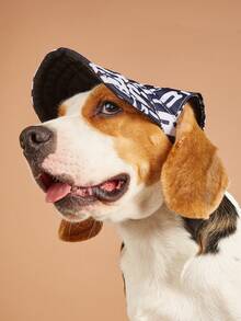 1 Piece Blue Letter Pet Dog Hat Going Out Baseball Cap Sun Hat - Blue and White - View 1
