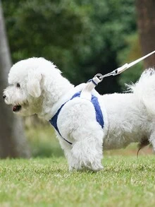 1 Miếng Mới Mùa thu & Mùa Đông Phong cách Dây nịt cho thú cưng Với Dây xích Đối với Chó Và Mèo , Áo vest Phong cách Chống Thoát khỏi Và Phù hợp Đối với Thú cưng - Màu xanh hải quân - Xem 5