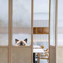 1 件可爱独特的偷窥猫彩色玻璃贴纸，自粘式，可爱的家居装饰贴纸，适合猫爱好者 - 彩色 - 查看 4