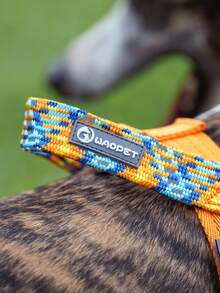 1 Móc và vòng phản quang, thoáng khí và đầy màu sắc Dây phẳng và dây đeo ngực và lưng thú cưng cho các hoạt động ngoài trời của chó vừa và lớn - trái cam - Xem 8